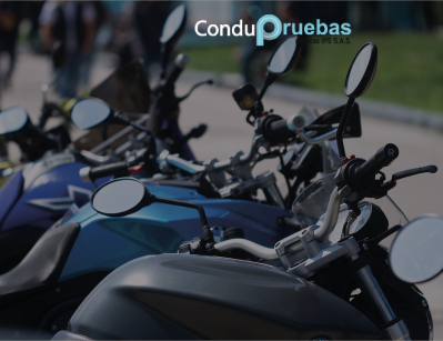 renovación licencia
